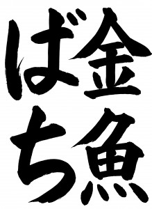 DSCN0050-2