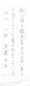 2015年08月09日10時24分25秒_016