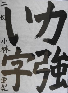 DSCN0090 のコピー