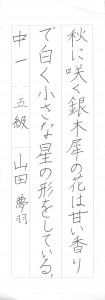 2015年08月09日10時24分25秒_014
