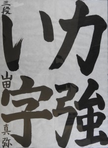 DSCN0089 のコピー