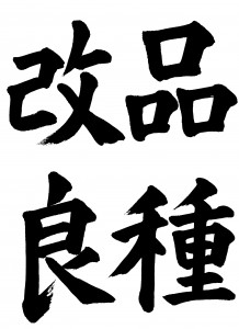 201510小6