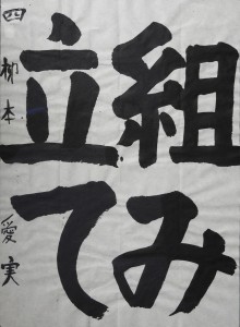 DSCN0143 のコピー