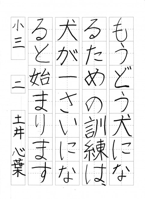 201512硬筆優秀作品_010