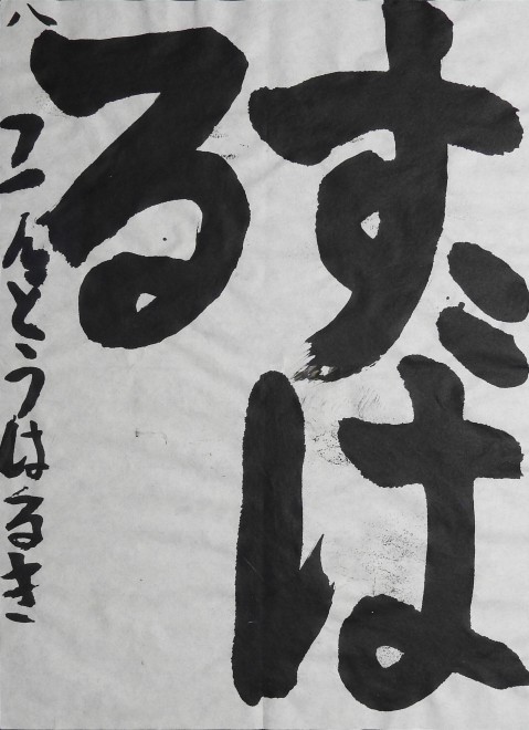 DSCN0249 のコピー