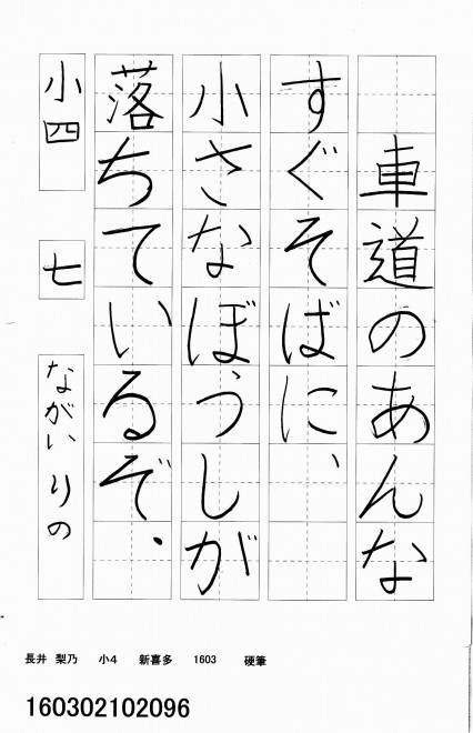 160302102096