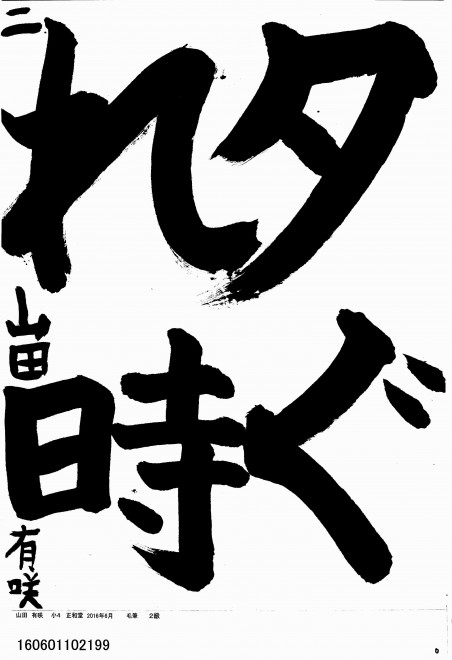 160601102199