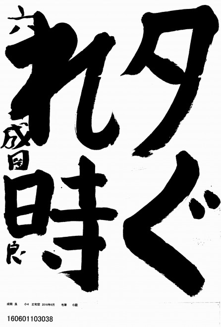 160601103038
