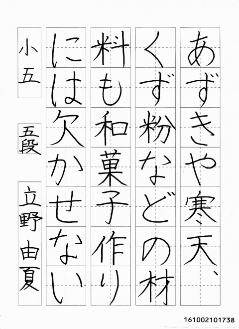 161002101738