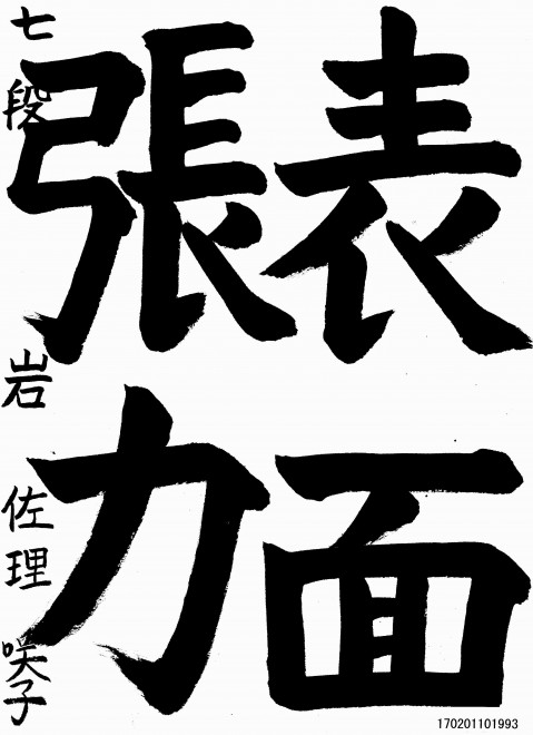 170201101993