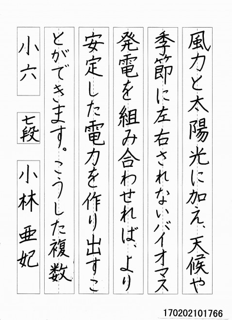 170202101766